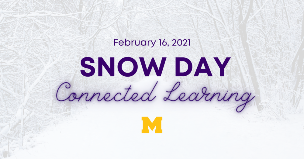 Connected Learning - Snow Day