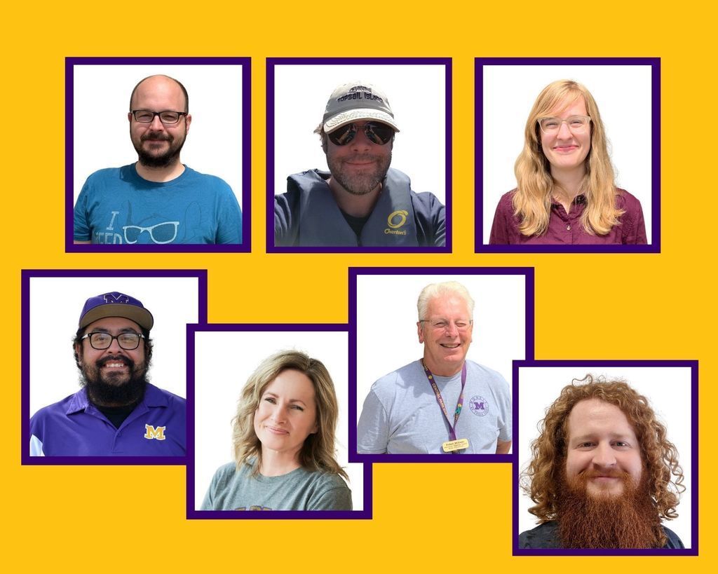 National IT Professionals Day