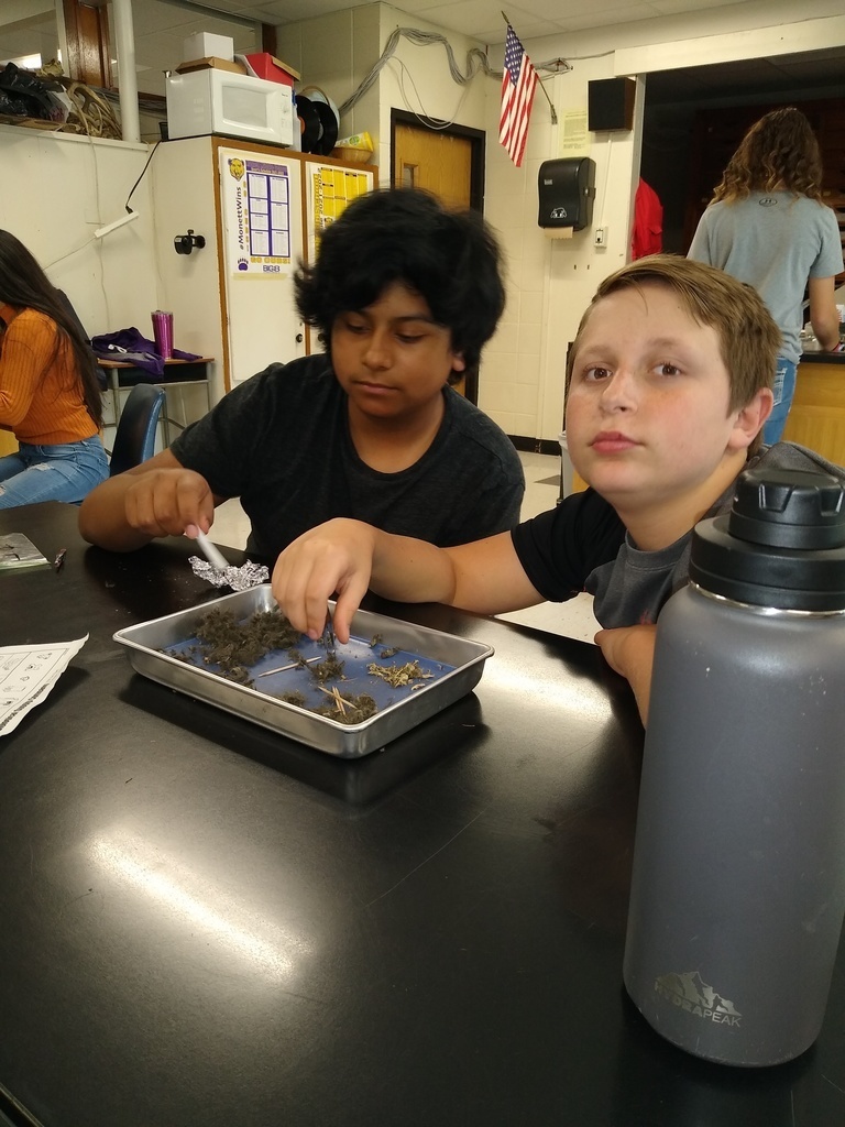 MMS Science class dissects owl pellets. 