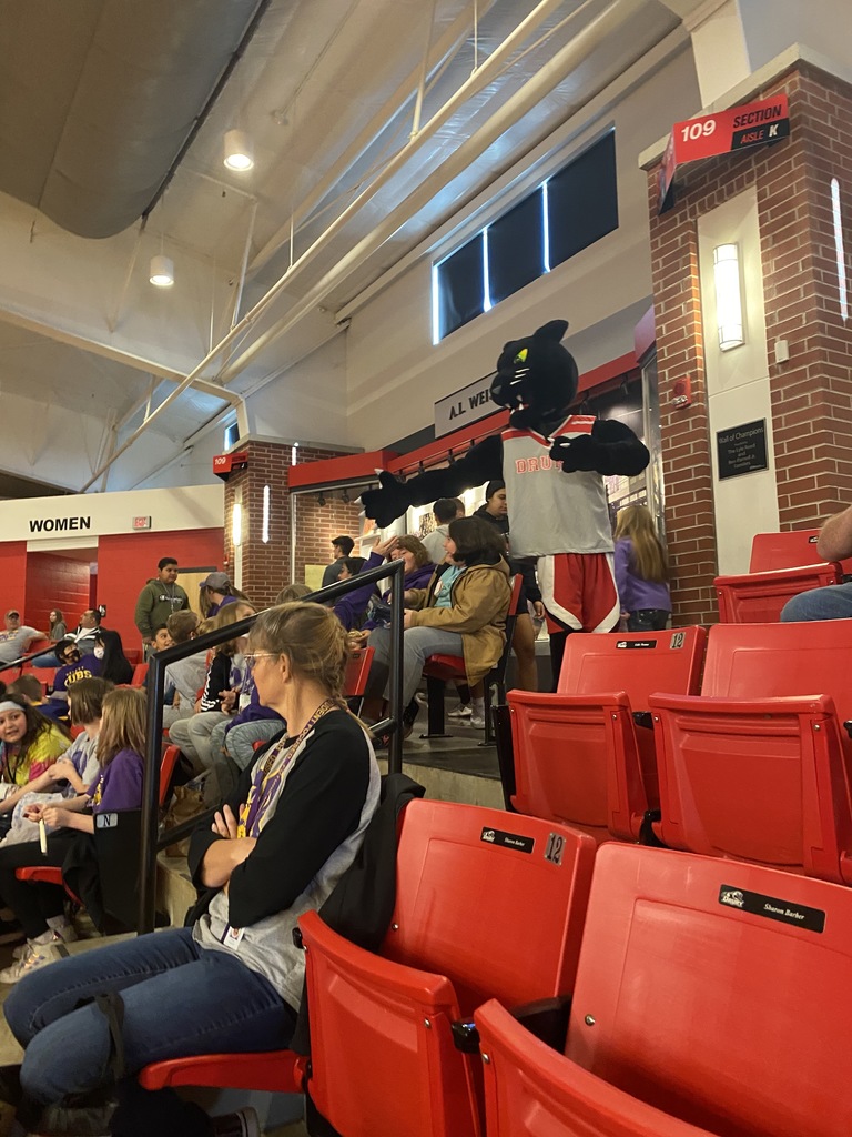 Drury University mascot in the stadium. 