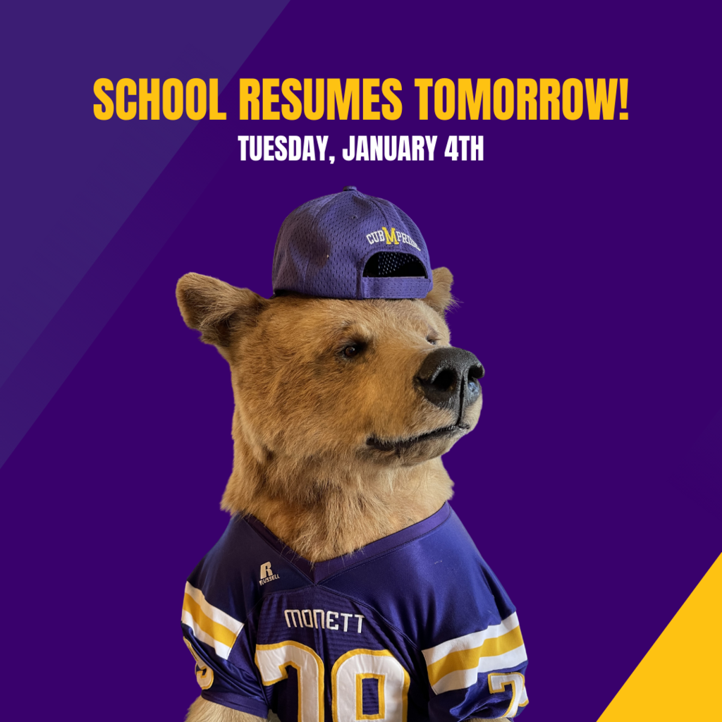 School Resumes tomorrow, Tuesday, January 4th. Cub bear photo 
