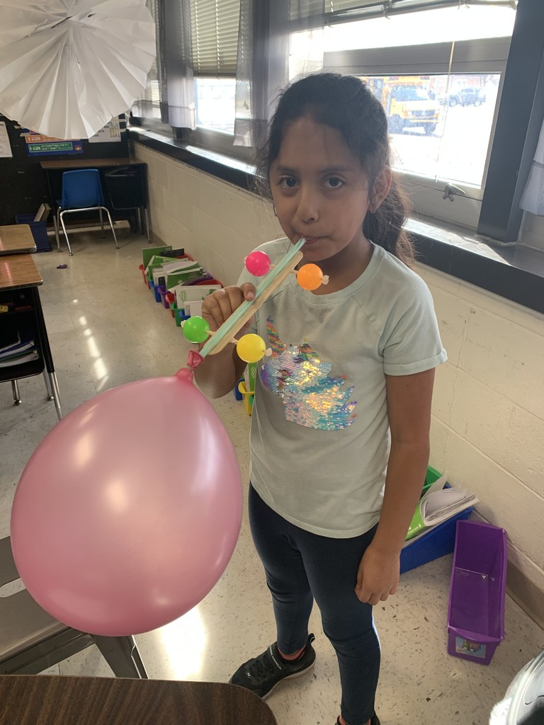 Student blowing up pink balloon for her science project. 