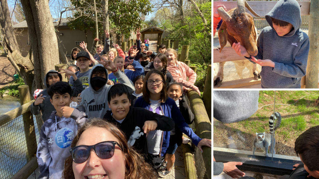 MIS students went on a field trip to Dickerson Park Zoo. Students had safe encounters with the education animal ambassadors. It was a beautiful day to learn about the animals! 