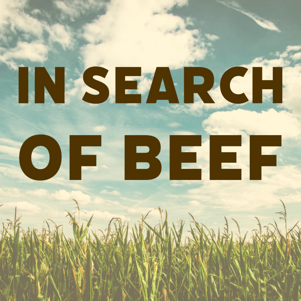 In search of beef. 
